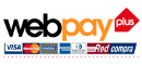Pago Electrónico